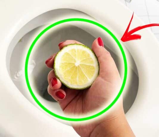 limone-nel-wc