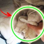 Se il Bucato puzza anche dopo la Lavatrice stai facendo questi 5 errori