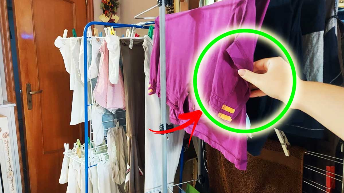 Come non far puzzare i Panni di Umido quando devi stenderli in casa?