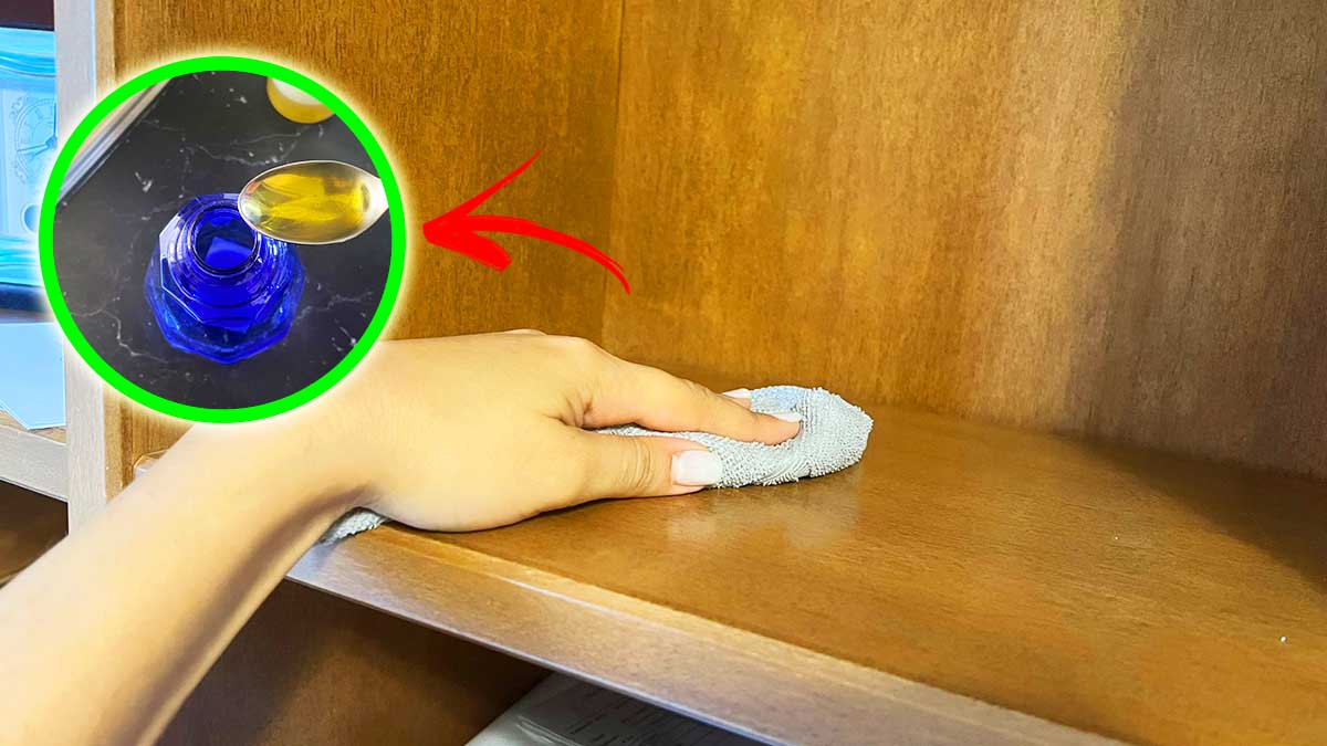 Come togliere tutta la Polvere in Casa senza fatica e con un Cattura-polvere naturale