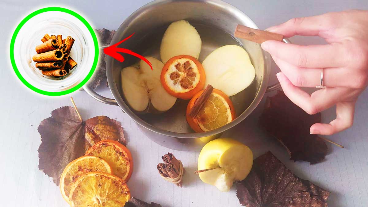 Se vuoi portare il Profumo di Autunno in casa bastano questi semplici ingredienti