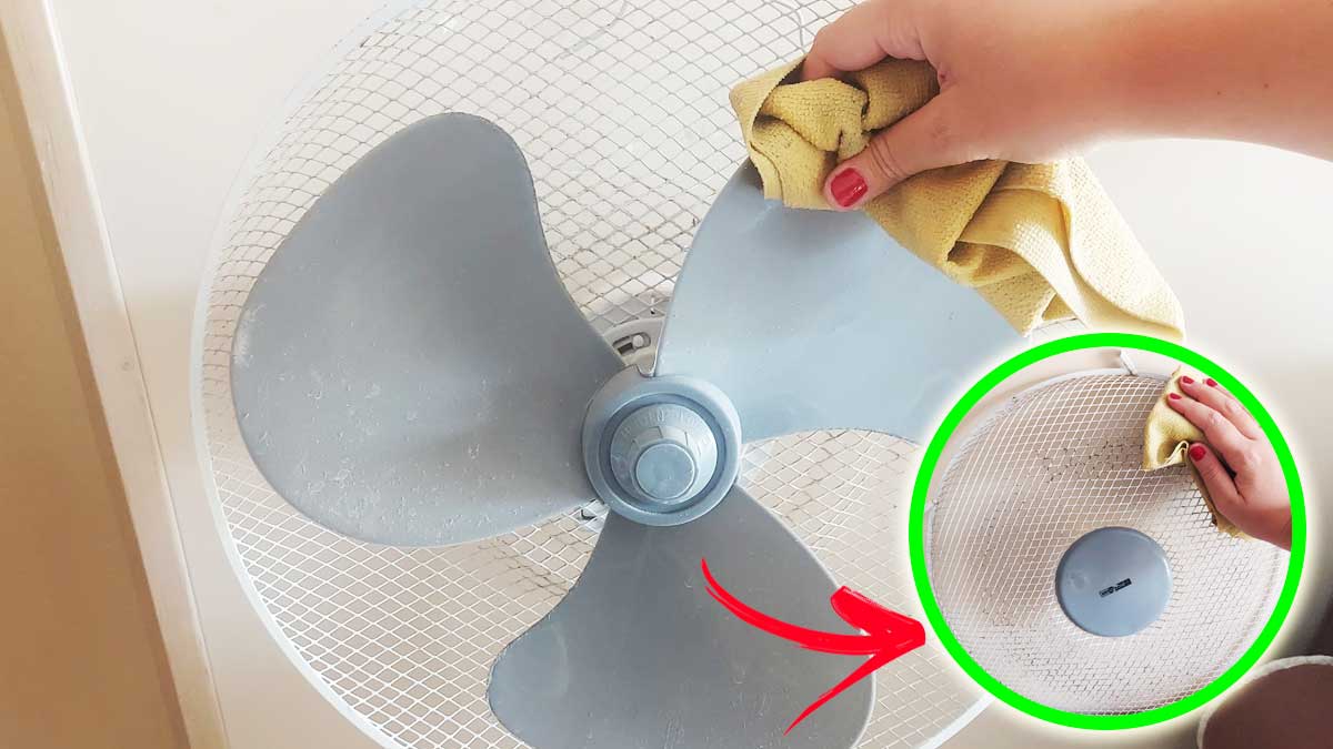 Tutti i Passaggi da seguire per pulire a fondo i Ventilatori prima di metterli via