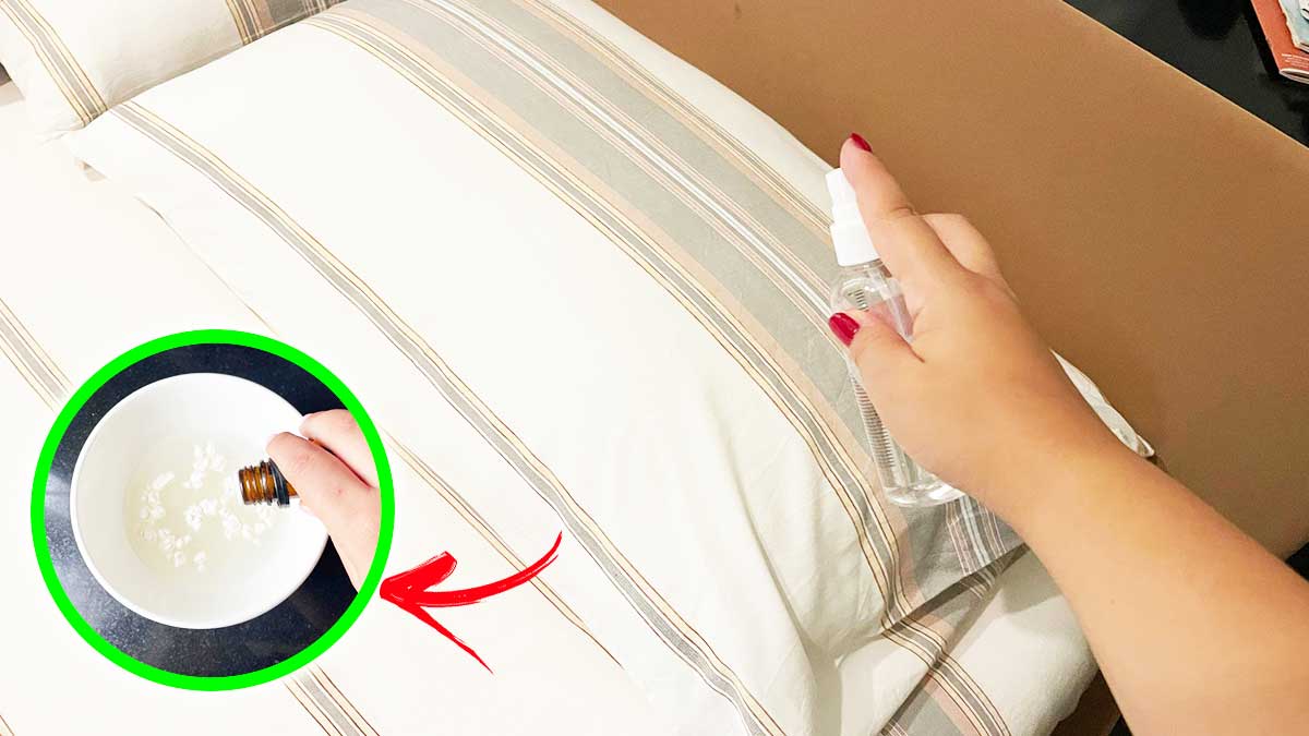Come fare il profumo rilassante per i Cuscini quando la Notte non riesci a dormire