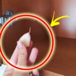 Puoi allontanare i Tarli dai mobili con questi semplici Rimedi Naturali