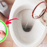 Come profumare tutto il Bagno versando nel Wc questi 4+1 Rimedi naturali