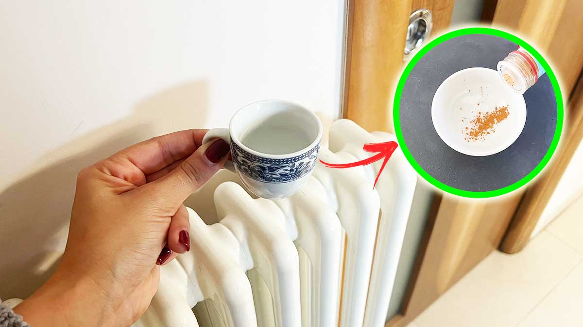 Usa il Termosifone per profumare tutta la Casa con questi Trucchetti