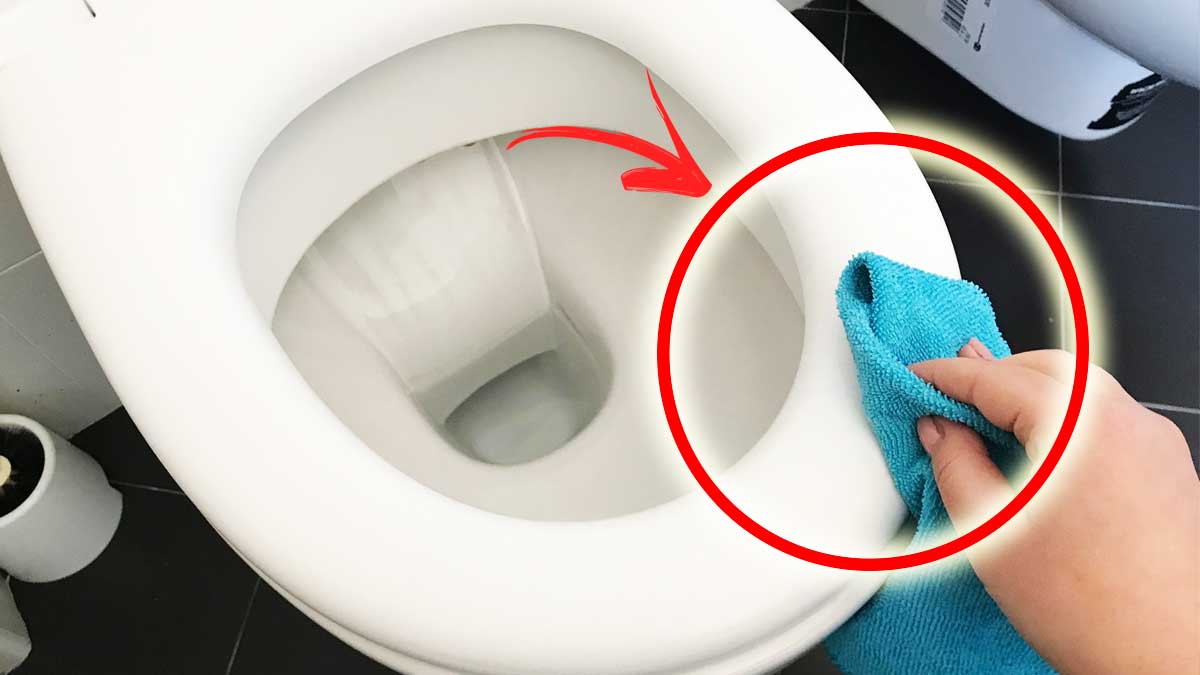 Copriwater Ideal Standard Tonic - Tavoletta WC In Plastica Termoindurente Bianca, Made In Italy - Foto 5