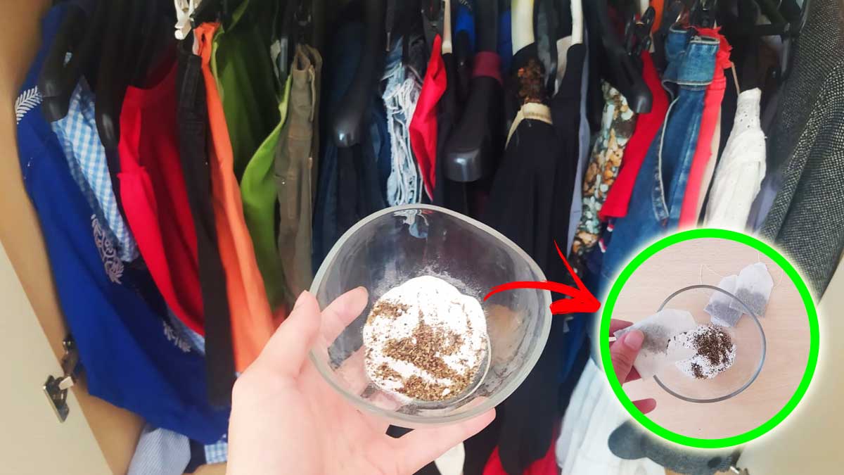 Come togliere l’Umidità in casa e profumarla con solo Due Rimedi naturali