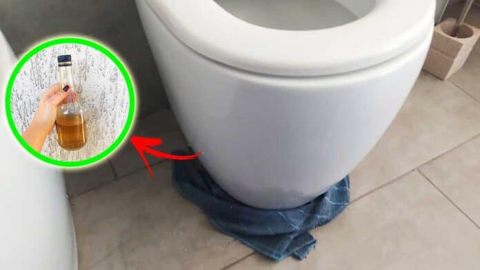 anello-intorno-wc-pulizia
