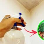 Se Trovi la Muffa in questi 4 Angoli della Casa toglili così