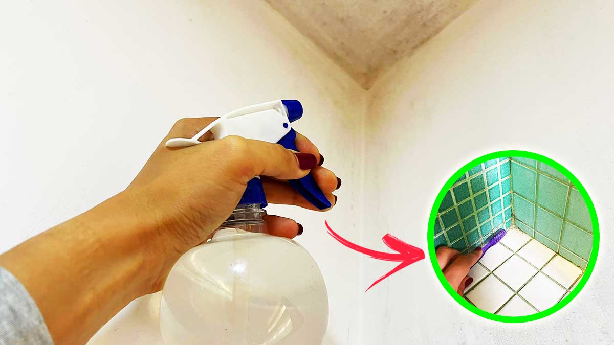 Se Trovi la Muffa in questi 4 Angoli della Casa toglili così