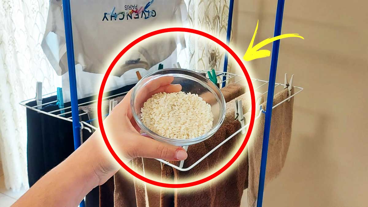 Come assorbire l’Umidità in Casa quando stendi i Panni dentro