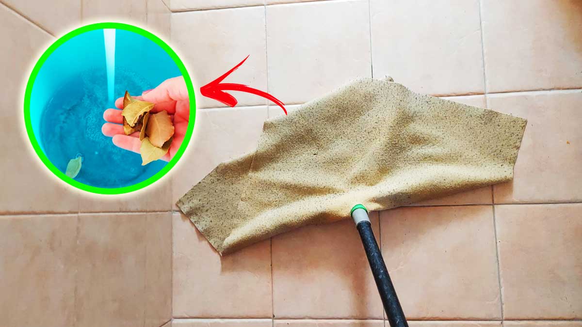 Profuma tutta la casa lavando a terra con questo Rimedio fai da te