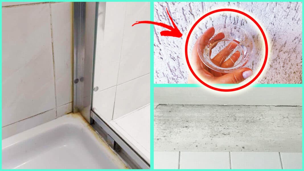 muffa-bagno