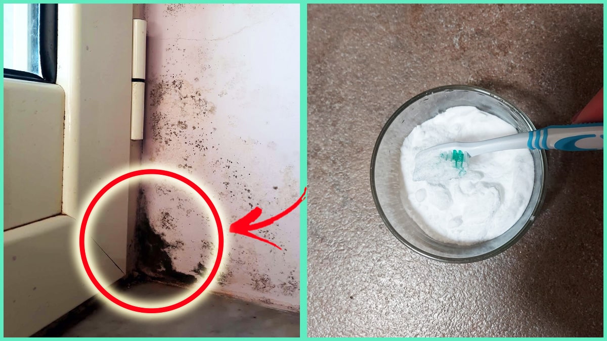 Togli la Muffa dagli angoli degli Infissi con il Metodo dello spazzolino