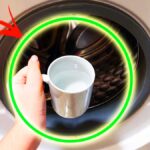 Come pulire tutta la Lavatrice usando 1 Tazza con questi ingredienti