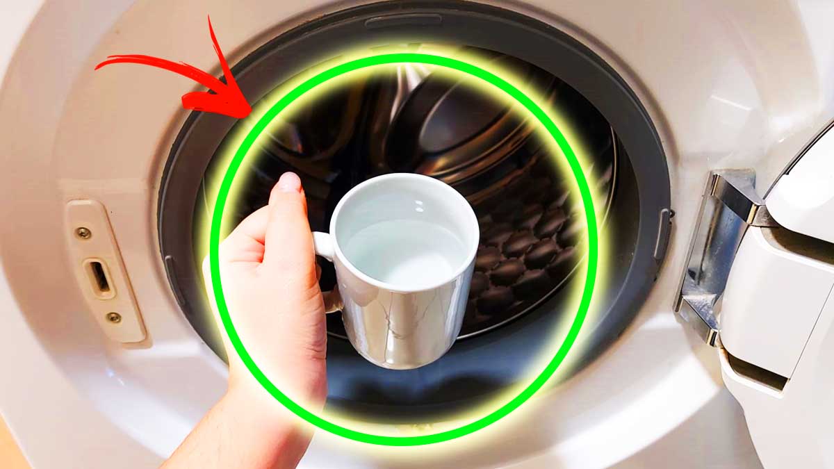 Come pulire tutta la Lavatrice usando 1 Tazza con questi ingredienti