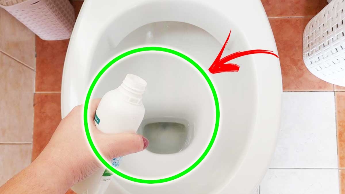 Il WC torna bianco e come nuovo in una Notte con questo Metodo