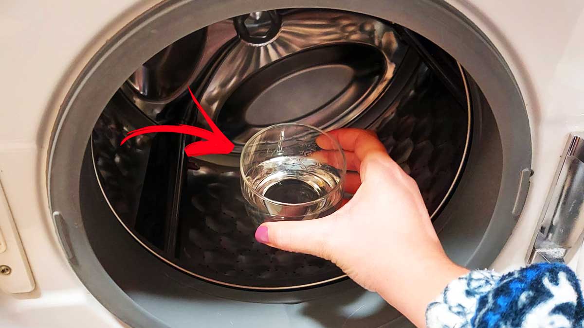 Come pulire e togliere lo sporco dalla Lavatrice con 1 Bicchiere di questo Rimedio