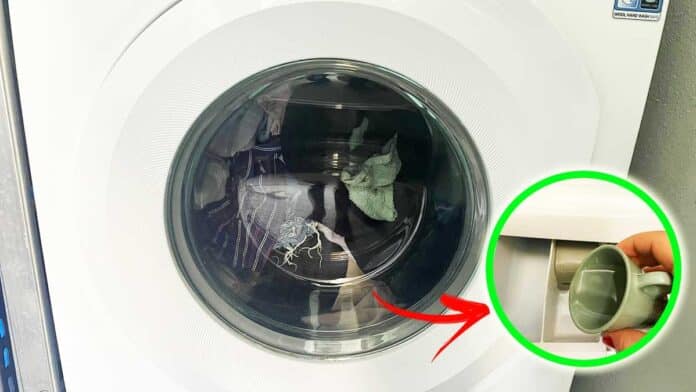 bucato-profumato-lavatrice-senza-detersivi