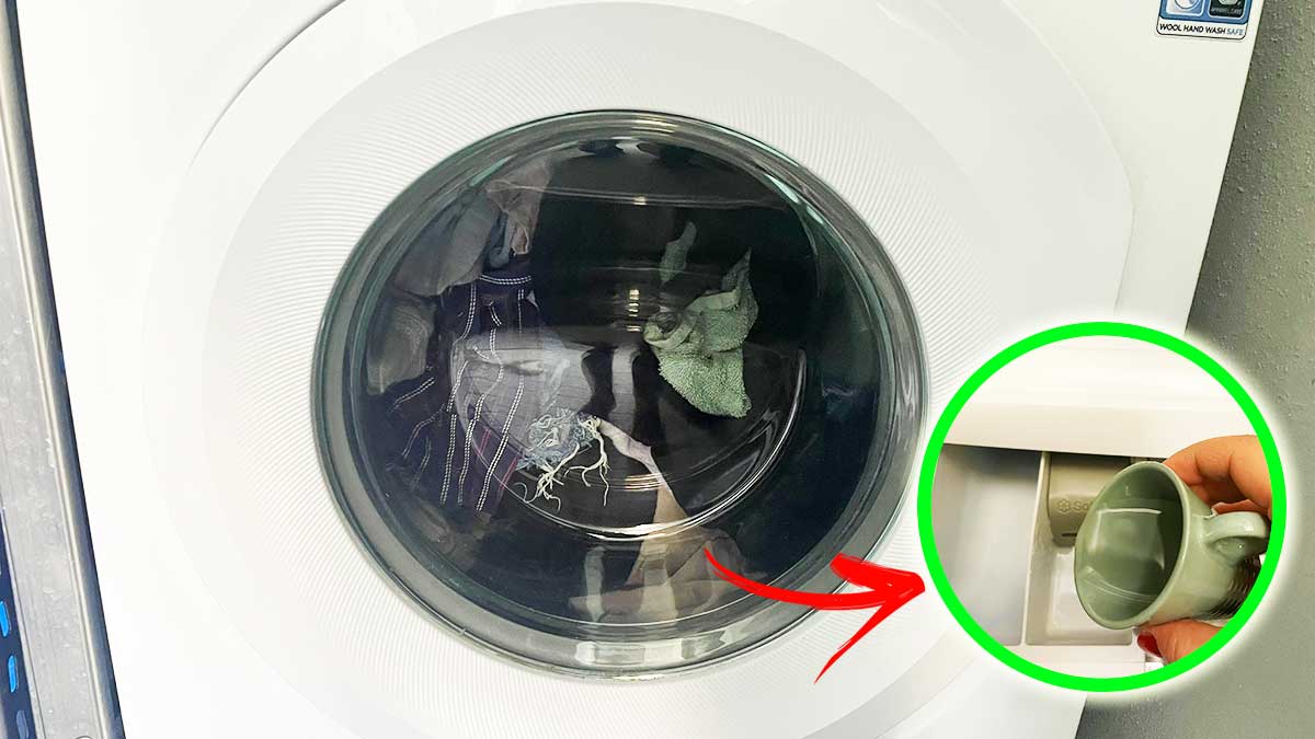 Come avere un Bucato Profumato in Lavatrice senza usare Detersivi