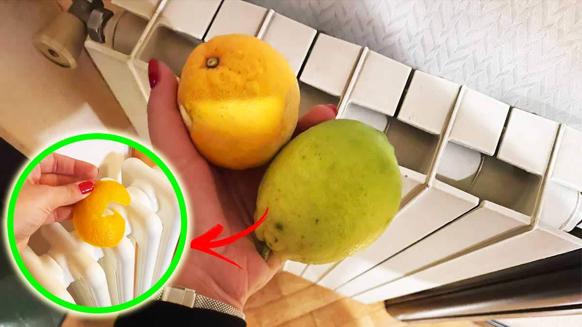 Come usare arancia e limone per avere il Termosifone pulito e profumato
