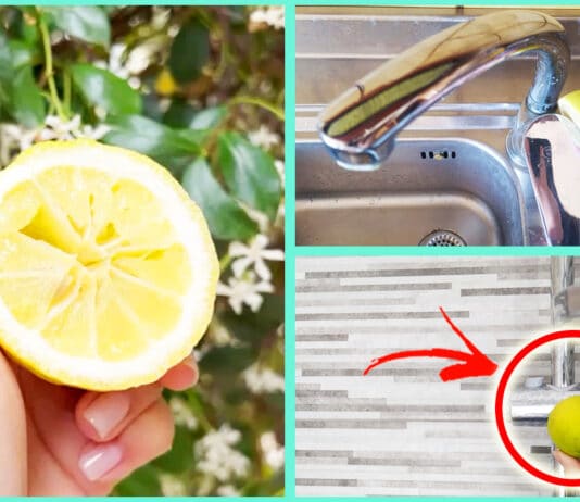 come-usare-limone-spremuto-casa
