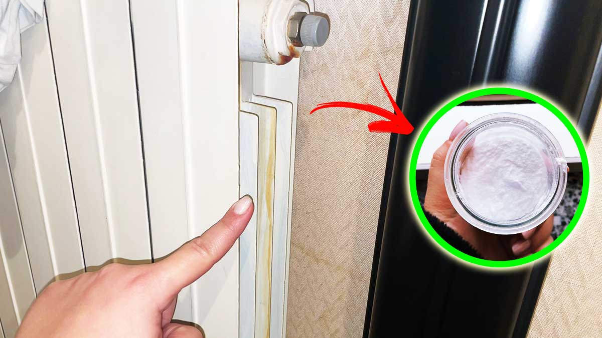 Spazzola In Acciaio Wolfcraft - Per Rimuovere Ruggine E Pulizie, Con Manico Ergonomico - Foto 13