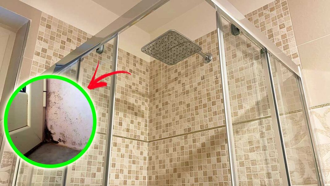 muffa-muri-bagno
