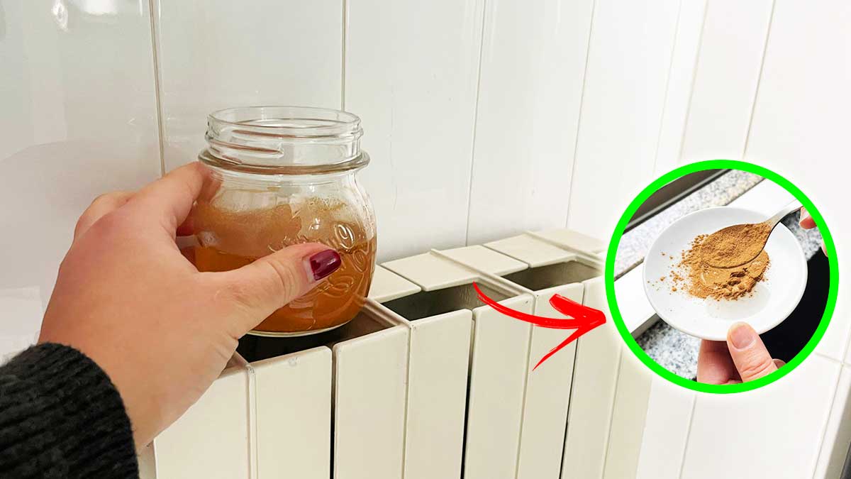 Come fare l’umidificatore fai da te per il Termosifone