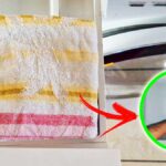 Come togliere la Muffa dal Cassettino della lavatrice con un vecchio asciugamano