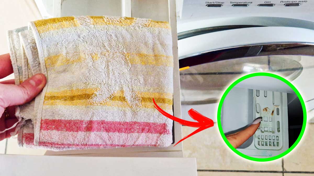 Come togliere la Muffa dal Cassettino della lavatrice con un vecchio asciugamano