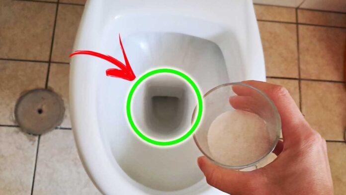 cattivi-odori-wc-rimedi
