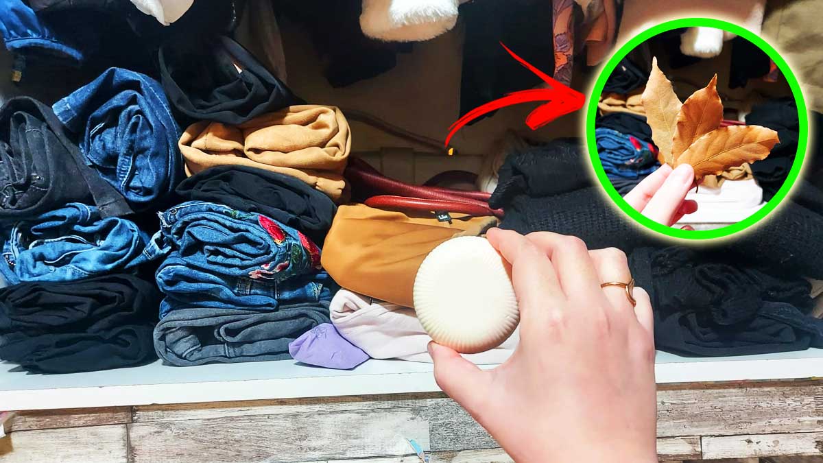 Come lasciare il Profumo sui Vestiti con questi Trucchetti nell’Armadio