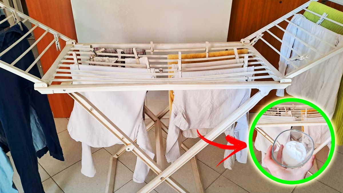 Come non far puzzare di umido il Bucato che asciuga in Casa