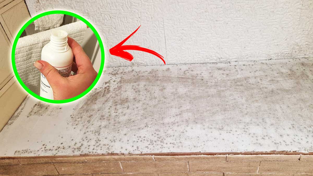 5 Rimedi efficaci per non avere Muffa negli Angoli della casa