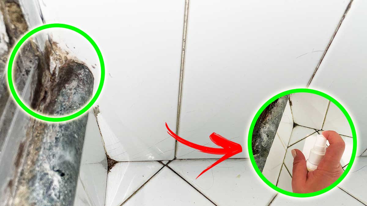 Se hai le Macchie di Muffa nella Doccia toglile con questi Metodi