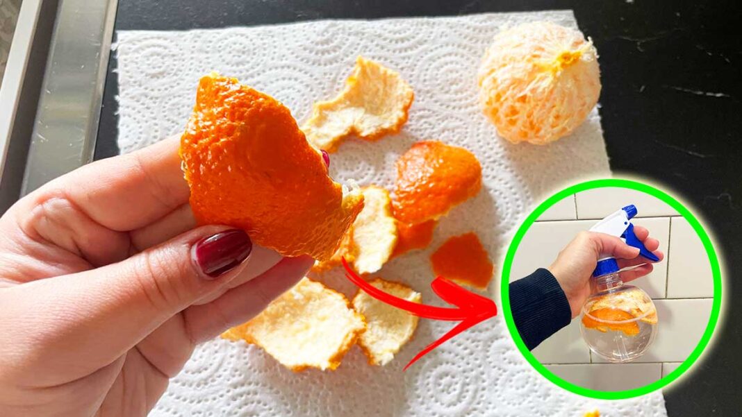 riutilizzare-bucce-mandarini-pulizie
