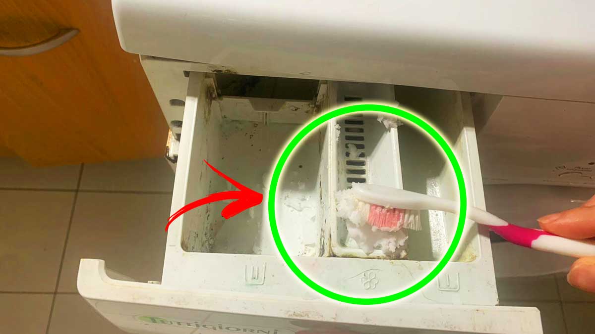 Come Togliere Tutto lo Sporco dal Cassetto della Lavatrice con uno spazzolino