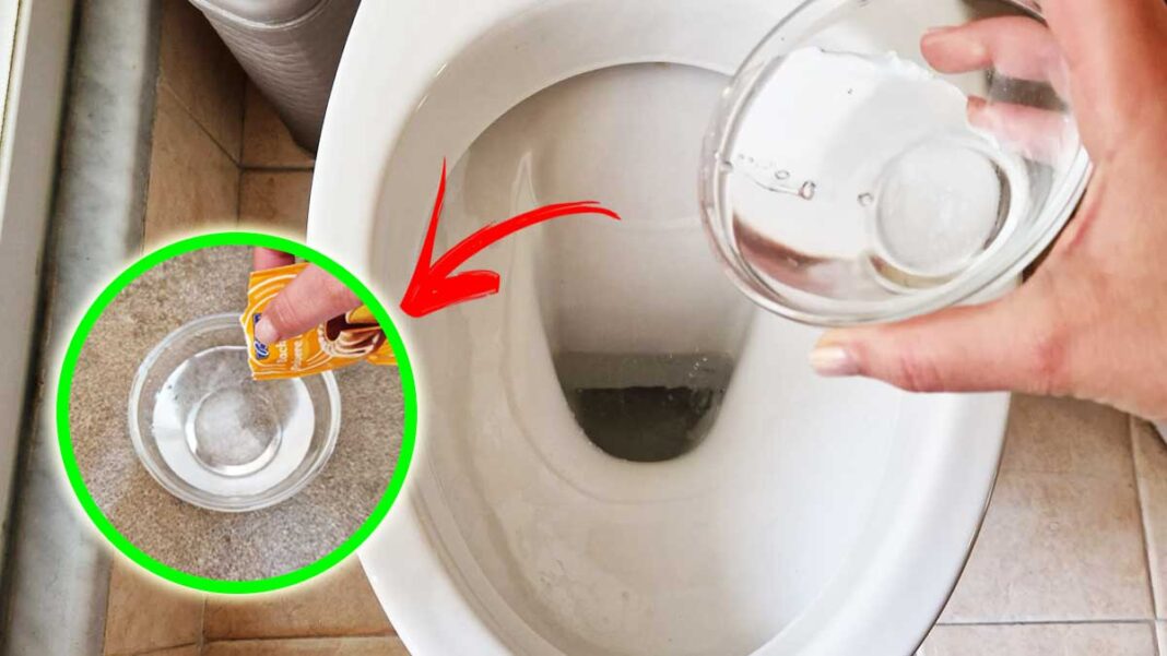 lievito-wc