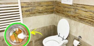 profumare-bagno-senza-finestre