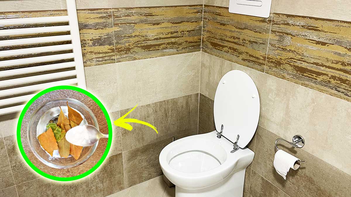 Come tenere il Bagno profumato anche se non ha Finestre