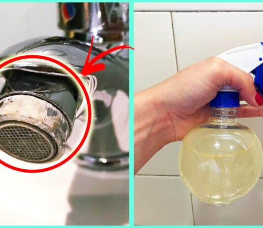 calcare-bagno-rimedi-naturali