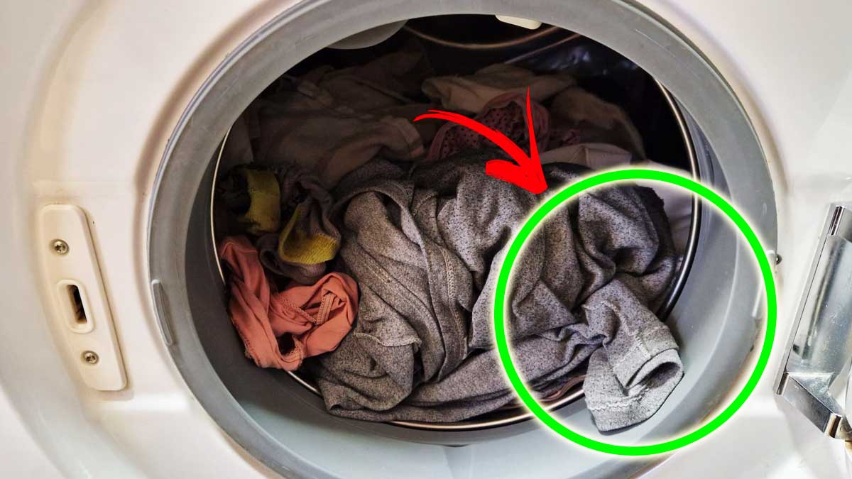 Perché i Vestiti dopo la Lavatrice non profumano?