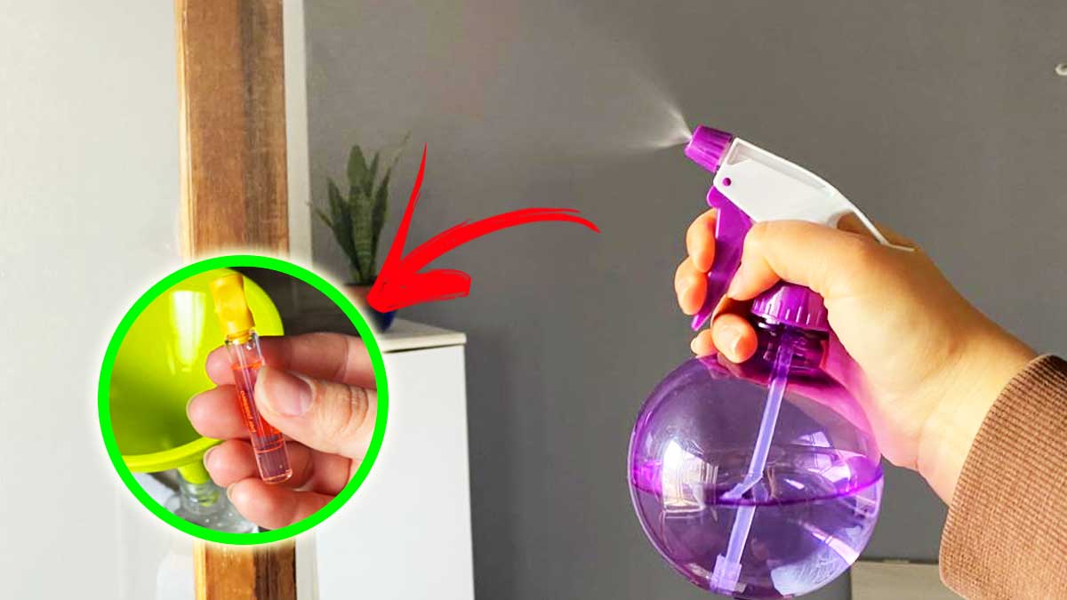 Come spargere il profumo della Primavera in casa