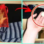 Come Evitare le Maglie bucate dalle Tarme? Non tutti conoscono questo trucco