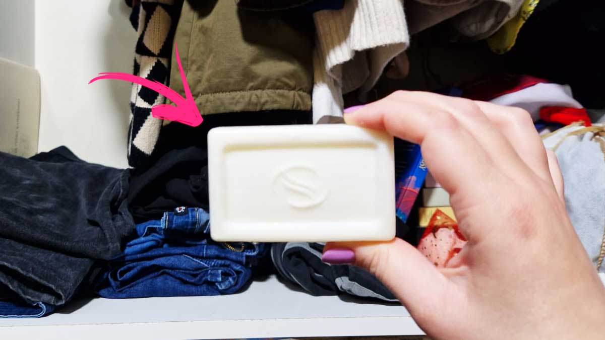 Hai mai usato il Sapone di Marsiglia per l’Armadio? Questi trucchi ti sorprenderanno