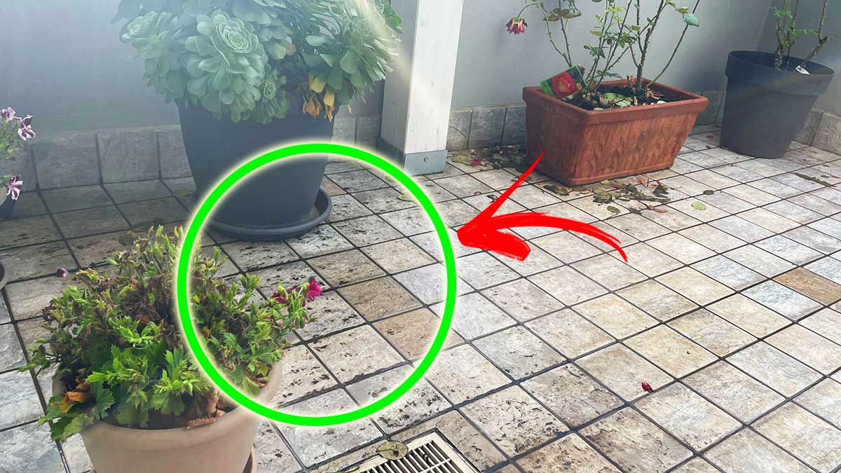 Come Pulire il Balcone Sporcato dalla Pioggia?