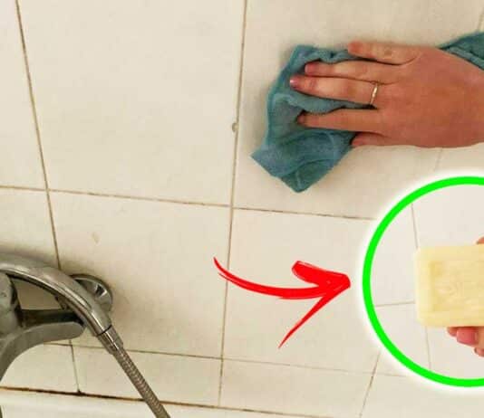 profumare-piastrelle-bagno-marsiglia