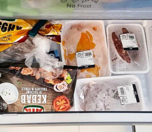 tenere-in-ordine-freezer